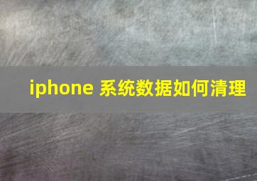 iphone 系统数据如何清理